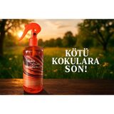Amber Clean Klima Küf ve Bakteri Temizleyici