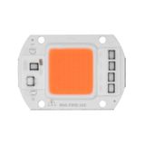 Amber Kehribar 220V Projektör Cob Led 50W Driver Çipli