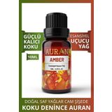 Amber Saf Esansiyel Uçucu Yağ Buhurdanlık Yağı Difüzör Esansı Aromaterapi Ortam Koku Yağı 10ml