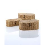 AmberHaus 3'lü Dekoratif Organizer Sepet Seti - Çok Amaçlı Rattan ve Hasır Düzenleyici - Banyo, Mutfak ve Dolap İçi Saklama Kutusu Takımı (3'lü Rattan Örgü Sepet Oval)