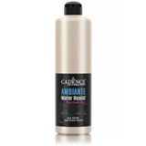 Ambiante Islak Zemin Boyası Aw 02 Platin 500Ml Katalizör 20Gr