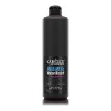 Ambiante Islak Zemin Boyası Aw-24 Siyah 500ml + Katalizör 20gr
