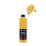 Ambiante Islak Zemin Boyası Aw25 Güneş Sarı 500Ml + Katalizör 20Gr