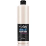 AMBIENTE SUYA DAY. MET. AKR. BOYA AWM-01 İNCİ 500ML + KATALİZÖR 20GR