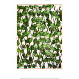 Amentes Sarmaşık Çit - 120 Cm X 3m Yapay Sarmaşık Bahçe Çiti