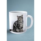American Shorthair Kedi Isimli Kişiye Özel Baskılı Kupa Bardak Çizim