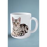 American Shorthair Kedi Isimli Kişiye Özel Baskılı Kupa Bardak Model 1