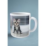 American Shorthair Kedi Isimli Kişiye Özel Baskılı Kupa Bardak Pati