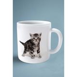 American Shorthair Kedi Isimli Kişiye Özel Baskılı Kupa Bardak Şirin