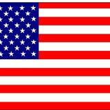 Amerikan Bayrağı 30x45cm