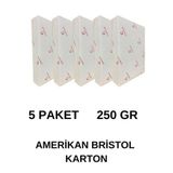 Amerikan Bristol Karton A4 250 Gr 5 Paket 500 Adet