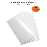 Amerikan Bristol Kartonu 50X70 Cm 5 Adet 230 Gr Çift Taraflı Parlak Mat Yüzeyli 50*70 Biristol Kağıt