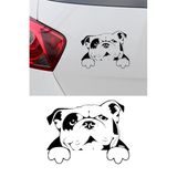 Amerikan Bulldog Resmi Oto Araba Cam Sticker Çıkartma Bilgisayarlar,Kamyonlar,Motosikletler İçin