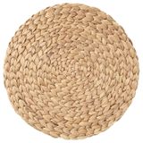 Amerikan servis, su sümbülü, 37 cm