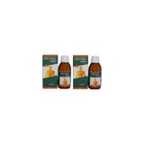 Ametis İlaç Pylopac Kudret Narı Ekstresi Syrup 150 ML 2 KUTU