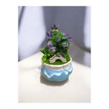 Ametist Doğal Taş Terrarium Ağaç Sevgililer günü Hediye