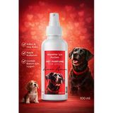 Amor Amor Köpek Parfümü 100 ml – Kalıcı & Etkileyici Günlük Bakım Koku Spreyi