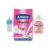 Amore Lifeguard Yavru Kedi Süt Tozu 240 G + Biberon + Kitten Şampuan
