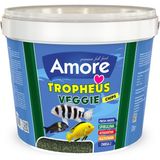 Amore Tropheus Veggie Chips 3 kg Tanganyika Malawi Bitkisel Algae Spirulina Sarımsak Kova Balık Yemi