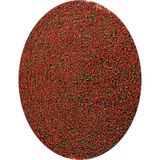 Amore Tropical Balık Yemi 1500 Gr, Lepistes, Canlı Doğuran, Melek, Tetra