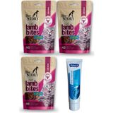 Amore Tüy Yumağı Önleyici Malt 100ML, 3X60GR Lamb Bites Atıştırmalık Yumuşacık Taneli Kedi Ödül Maması - 100ml + 3 Lamb Bites