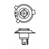 Ampul - Purelight - 12v - Hs1 H4 Motosiklet Tipi - 35/35w - Px43t 10 Adet