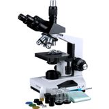 Amscope T490 Bilesik Trinokuler Mikroskop