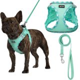 AMTOR Tasma Setiyle Köpek Koşumu, Çekmesiz Ayarlanabilir Yansıtıcı Adım Atma Yavrusu Koşumu, Ekstra Küçük/Küçük Orta Büyük Köpekler ve Kediler için Dolgulu Yelekli (Yeşil)