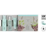 Amway Nemlendirici Cilt Bakım Çözümü Mini Seyahat Seti Artistry Skin Nutrition - kişisel bakım setler