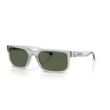 AN 4372 28589A 57 Arnette Polarize Güneş Gözlüğü