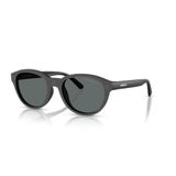 AN 4375 27581W 51 Arnette Klipsli (Clip-On) Polarize Güneş Gözlüğü