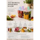 Anadolu Saray Renkli 4’lü Meybuz Dondurma Kalıbı Buz Kalıbı Ev Tipi Popsicle Kalıp Seti