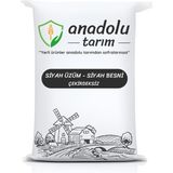 Anadolu Tarım İri Taneli Siyah Çekirdeksiz Üzüm Siyah Besni 1000 gr - 1 kg