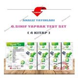 Analiz Yayınları 6. Sınıf Türkçe Yaprak Test