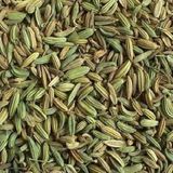 Anamur Naturel Doğal Rezene Tohumu (50 tohum)