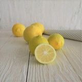 Anamur Naturel Tüplü Aşılı Çok Tatlı Şeker Limonu Fidanı