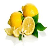 Anamur Naturel Tüplü Aşılı Özel Çeşit Kütdiken Limon Fidanı