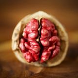 Anamur Naturel Tüplü Aşılı Özel Üretim Red Walnut Kırmızı Ceviz Fidanı