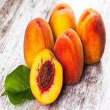 Anamur Naturel Tüplü Aşılı Tam Bodur Kendine Verimli Glohoven Şeftali Fidanı