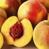 Anamur Naturel Tüplü Extra Erkenci Nisan Şeftalisi Flored Şeftali Fidanı