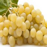 Anamur Naturel Tüplü Kokulu Sofralık Italia Üzüm Fidanı