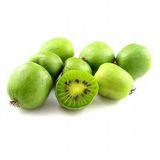 Anamur Naturel Tüplü Küçük Meyveli Hardy Bebek Kivi Fidanı