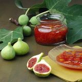 Anamur Naturel Tüplü Sofralık Iri Meyveli Gök Lob Incir Fidanı