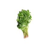 AnamurNaturel Köylüm Geniş Yaprak Aromatik Semiz Otu Fidesi 5 Adet