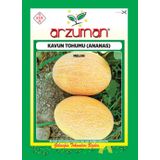 ANANAS KAVUN TOHUMU 10 GR ORT 200 AD TOHUM