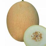 Ananas Kavun Tohumu 15 Tohum + Süpriz Hediye