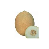 Ananas Kavun Tohumu 30 Adet Tohum Bal Kavun