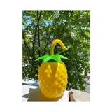 Ananas Pipetli Suluk -69939