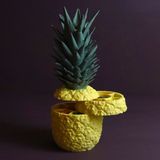 Ananas Saklama Kutusu - Sarı