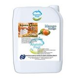 Anatolia Pool Sauna Buhar Esansı Mango 5 Lt. ( Sauna Essence Mango )